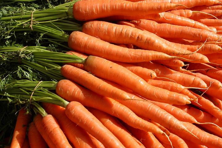 Produit vedette : les carottes 
