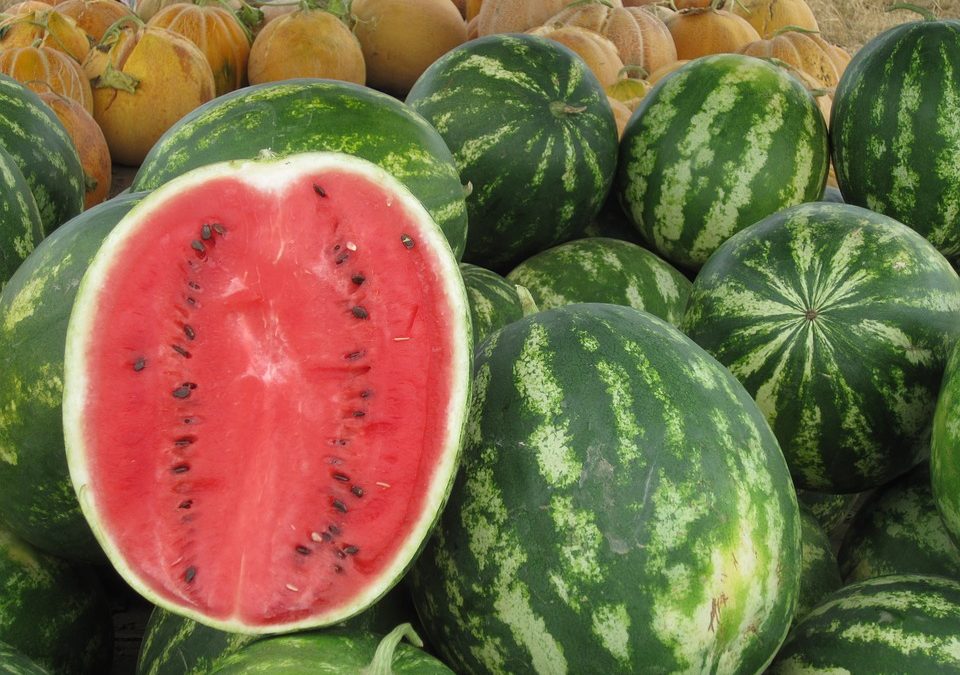 cesare-della-santina-watermelon